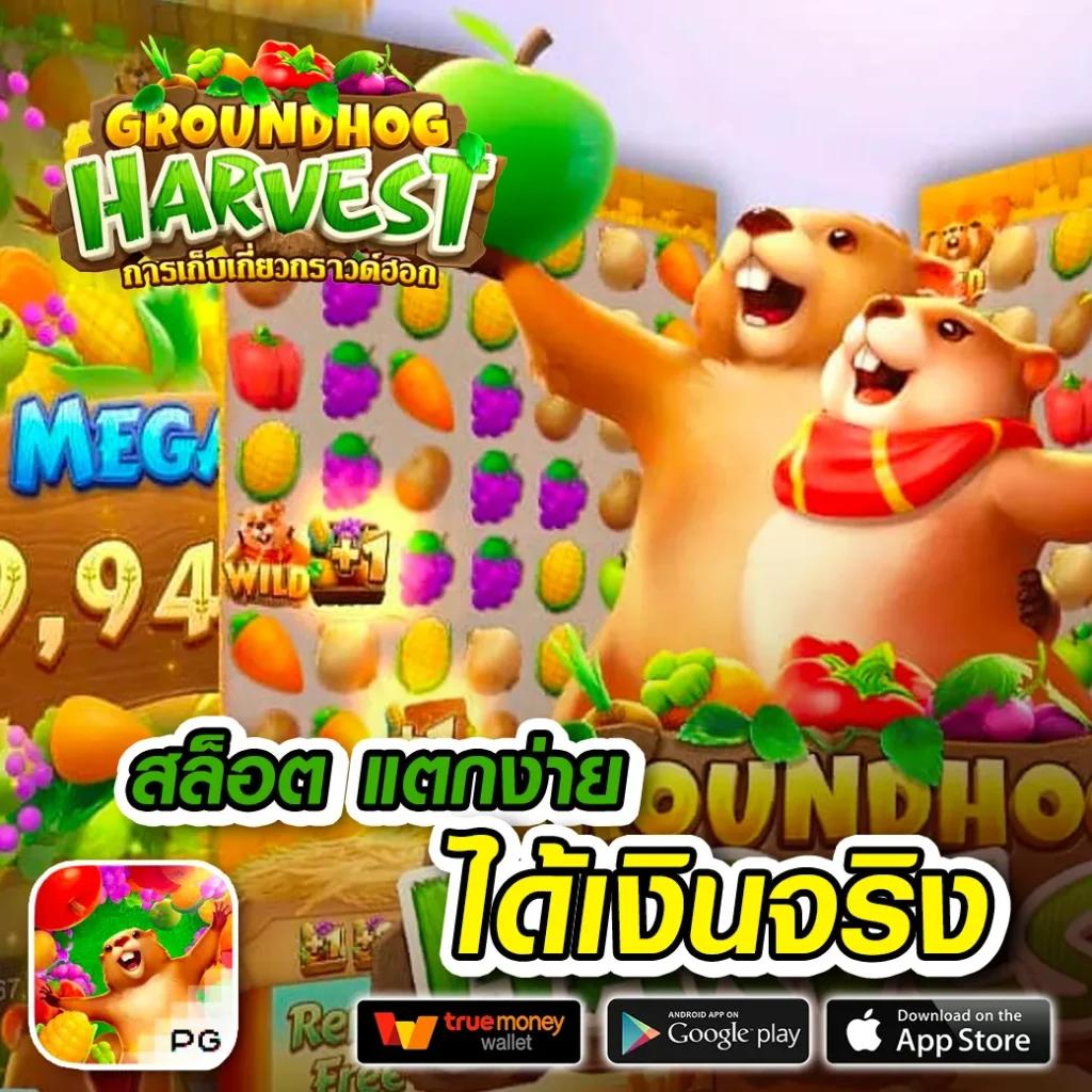 avg168slot คาสิโนครบวงจร ระบบมั่นคง ปลอดภัย เล่นง่าย จ่ายจริง