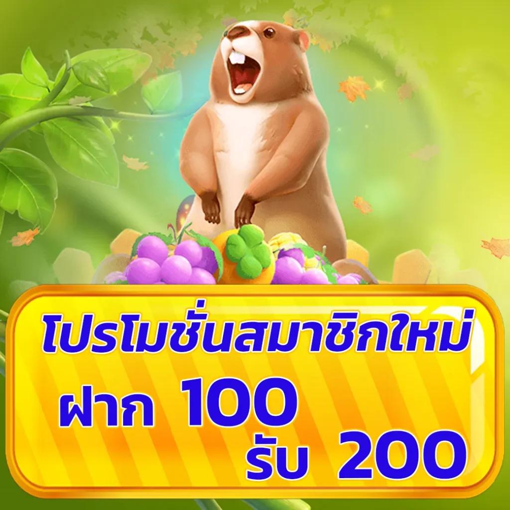 z16bet คาสิโนออนไลน์อันดับหนึ่ง รวมเกมสุดฮิต ปี 2024