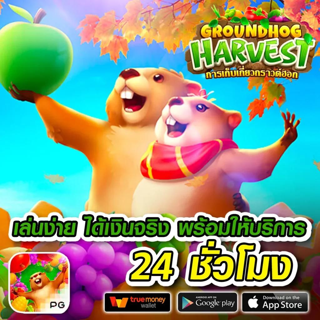 ทดลองเล่นบาคาร่าฟรี รวมเกมคาสิโนสุดฮิต ฝากถอนออโต้ 24 ชม